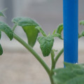 34005_20180925114336_01.JPG