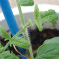 34005_20180925114433_01.JPG