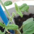 34005_20180925114439_01.JPG