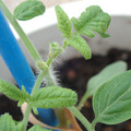 34005_20180925114440_01.JPG