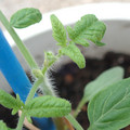 34005_20180925114441_01.JPG
