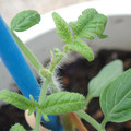 34005_20180925114443_01.JPG