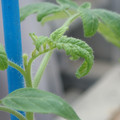 34005_20180925114541_01.JPG