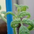 34005_20180925114610_01.JPG
