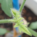 34005_20181001140615_01.JPG
