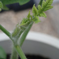 34005_20181001140637_01.JPG