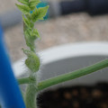 34005_20181001140656_01.JPG