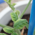 34005_20181001140705_01.JPG