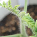 34005_20181001140712_01.JPG