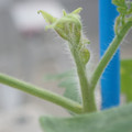 34005_20181001140740_01.JPG
