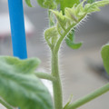 34005_20181001140751_01.JPG