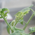 34005_20181001140810_01.JPG