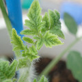 34005_20181001140908_01.JPG