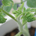 34005_20181001140924_01.JPG