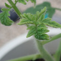 34005_20181001140931_01.JPG
