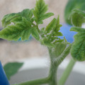 34005_20181001140953_01.JPG