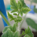 34005_20181001141014_01.JPG