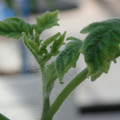 34005_20181001141023_01.JPG