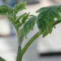 34005_20181001141025_01.JPG