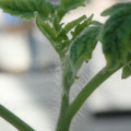 34005_20181001141029_01.JPG