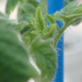 34005_20181001141054_01.JPG