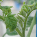 34005_20181001141102_01.JPG