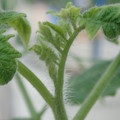 34005_20181001141109_01.JPG