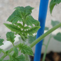 34005_20181001141213_01.JPG