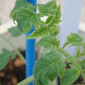 34005_20181001141223_01.JPG