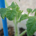 34005_20181001141231_01.JPG