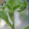 34005_20181001141323_01.JPG