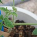 34005_20181001141514_01.JPG