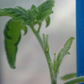 34005_20181001141601_01.JPG