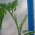 34005_20181001141602_01.JPG