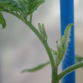 34005_20181001141606_01.JPG