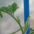 34005_20181001141607_01.JPG