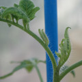 34005_20181001141611_01.JPG