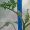 34005_20181001141612_01.JPG