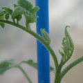 34005_20181001141613_01.JPG