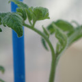 34005_20181001141623_01.JPG