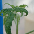 34005_20181001141632_01.JPG