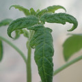 34005_20181001141637_01.JPG