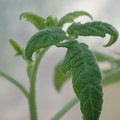 34005_20181001141640_01.JPG
