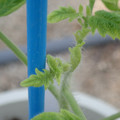34005_20181001141736_01.JPG