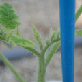 34005_20181001141806_01.JPG
