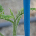 34005_20181001141810_01.JPG