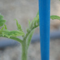 34005_20181001141811_01.JPG