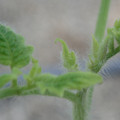 34005_20181001141823_01.JPG