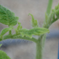 34005_20181001141824_01.JPG