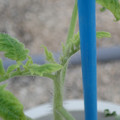 34005_20181001141900_01.JPG